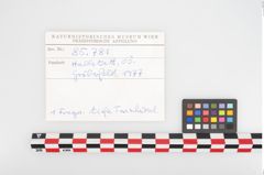 Foto von Keramikschale (NHMW-PRAE-085781)